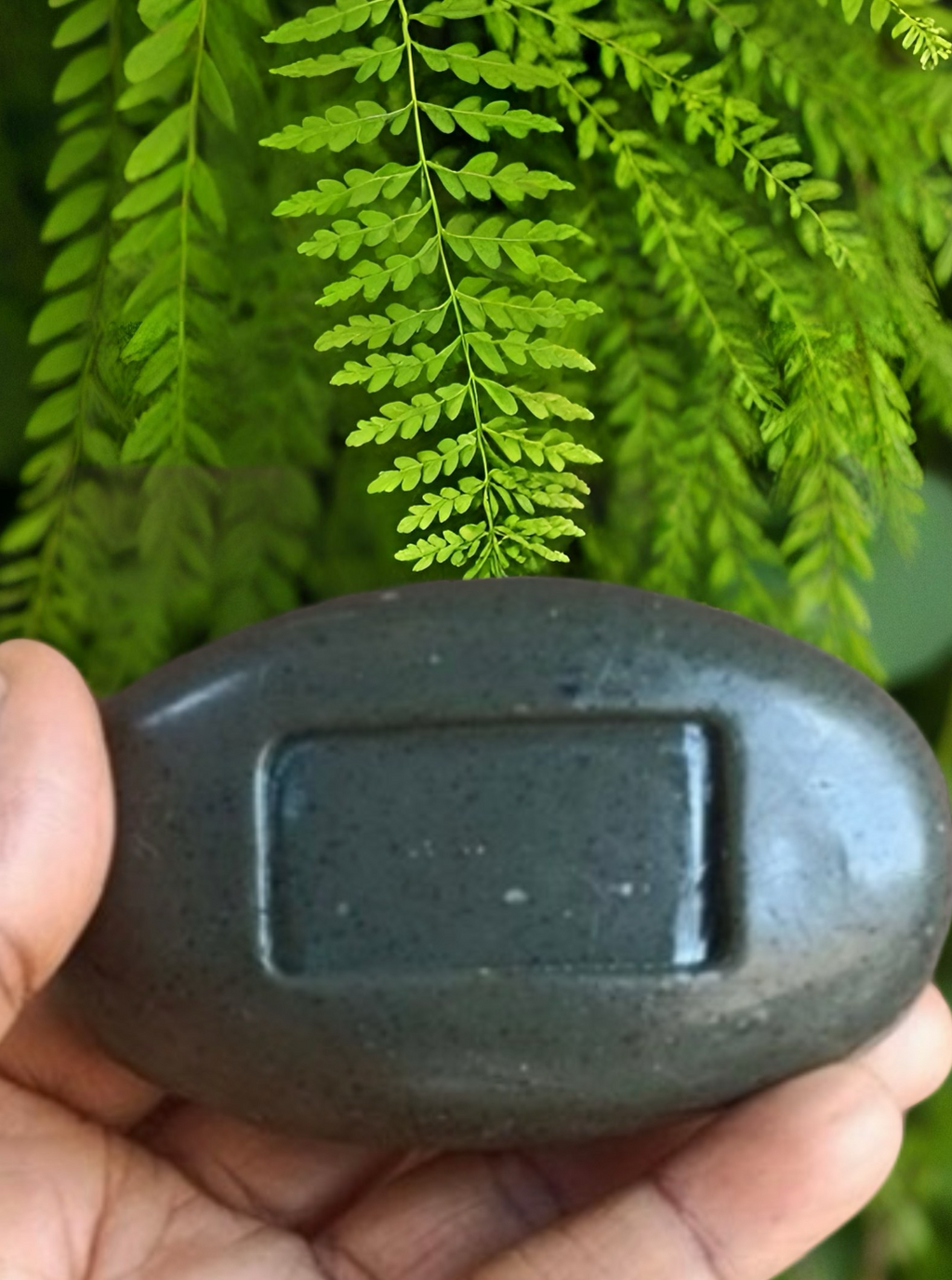 Neem and Moringa Bar Soap
